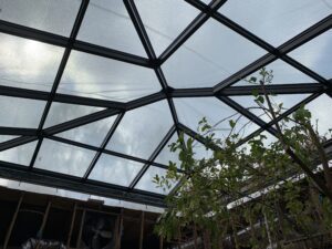 Kronberg Skylight AFTER